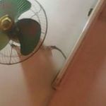 rebeccaregister - @registerrebecca238 - Instagram