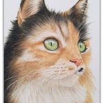 Rebecca Rhodes Watercolors - @rebeccarhodesart - Instagram