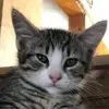 Rebecca Robichaud - @rebecca.robichaud3 - TikTok