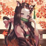 Rebecca - @rebeccaseth_10 - Instagram