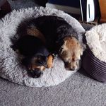 Rebecca Shackleton - @r.shackletonbooks - Instagram