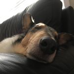 Rebecca Conant Sheets - @rebecca.c.sheets - Instagram