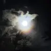 Rebecca Shell - @rebeccashell21 - TikTok