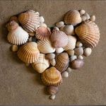 SHELL IT - @rebecca_shell_it - Instagram