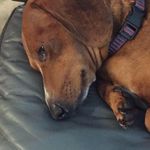 Rebecca Simonson - @b.simon373 - Instagram