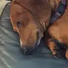 Rebecca Simonson - @rebecca.simonson - TikTok