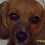 Rebecca Slagle Daniels - @slagledaniels - Instagram