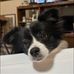 Rebecca StClair - Facebook