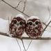 Rebecca Stead - Facebook