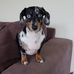 Ruth Rebecca Stead - Facebook