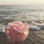 Rebecca - @rebecca_true_ - Instagram