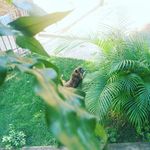 Rebecca Cristina da Mota Vidal - @crisbeks02 - Instagram