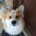 Rebecca Weldon - Facebook