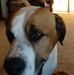 Rebecca Weldon - Facebook