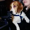 rebeccawolfenbarg - @rebeccawolfenbarg - TikTok