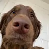 Rebekah Blake - @bekindco0 - TikTok