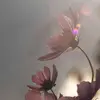 rebekahlmackenzie - @rbbenson - TikTok