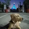 حياةبقشان - @rebekahmarksdffkvy - TikTok