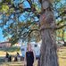 Rebekah Small - Facebook