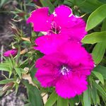 Rebekah Sibley Waters - @rebekah_sibley_waters - Instagram