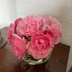 Rebekah Watson - @copperkettledesigns - Instagram