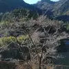 RebekahWeeks - @brycepgjk1n - TikTok