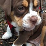 Red Bryant - @red.bryant.946 - Instagram