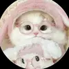 tebkimuwy05 - @reddit_jenkins5 - TikTok