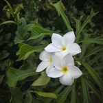 Redwan Kabir - @redwankabi_r - Instagram