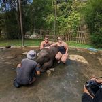 Reece brooks - @reecebrooks2 - Instagram