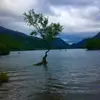 Reece  Curtis - @reece.curtis - TikTok