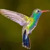 Reece Curtis - @reece.curtis2 - TikTok