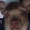 Reece09 - @reeceholmes17 - TikTok