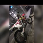 Reece Holmes - @reece.holmes.790 - Instagram