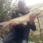 Reece Mcdonald - @123reece123 - Instagram