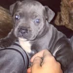 Reece Scott - @reece112211 - Instagram