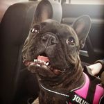 Reece Watson - @reece.watson.7121 - Instagram