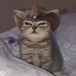 @adler_reed_ - Instagram