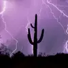reedaldrich - @reedaldrich - TikTok
