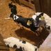 Reid Burgei - Facebook