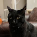 Reed Campbell - @reedcampbell9 - Instagram