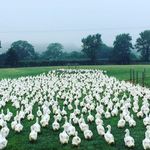 Creedy Carver - @creedycarver - Instagram