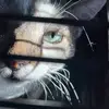 redcrocker - @redcrocker - TikTok