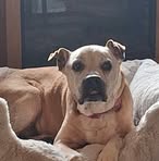 Reed Ellis - Facebook