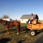 Reed Ellis - @horseandwagon - Instagram