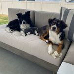 Avery Reed & Finley Red - @theaussieadventureduo - Instagram