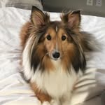 Reed Nicholas Mann - @reedmann52 - Instagram
