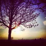 @reedmann - Instagram