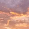 FBI (M^â¤n) - @rednoyes01 - TikTok