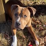 Noah Reed Noyes - @noahreednoyes - Instagram